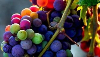 Resveratrol – hello younger looking skin!