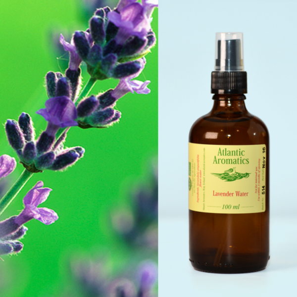 Atlantic Aromatics Lavender Water Organic